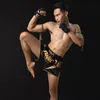 Tú Phạm MuayThai