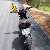 tungleviet36
