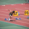 たいが