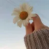 xnjzbuk