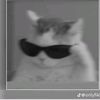 sys_orang