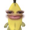 avvvll31
