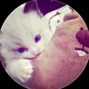 hellokitti.307