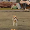bcdefgijklmnopqrsuv