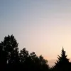 amy._.scheib