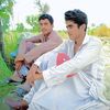 shazibkhan666666666