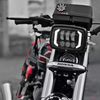 xtra_beast125