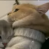 saikoooonahh