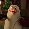 marvin8268