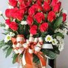 nguyenthir1