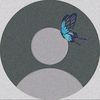 butterflyisme__