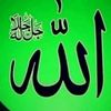 user4622750302354
