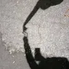 cinesigna