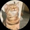 semir_m28