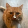 burrbito01