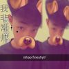 apipipp79