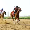 saud.almutery