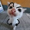 gak_tauu_4