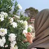 az_slevanayi