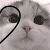 selenee__1