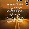 alfatena4262