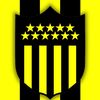 giovafagian.1.8