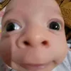 vlera_lxra