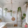 olivetree209