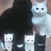 dreamnesttt
