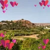 awaranthirmizan