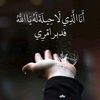 user2596119735656