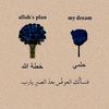 zeynabmubark