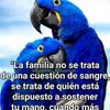 rosaliacarlosinig
