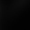 gardnerw_1