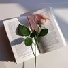 dhwni_99