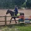 maisiemoo22horse