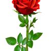 abdoulayethiam011