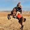 mllat_zaxo20