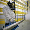 royalpestcontrolcompany