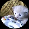 vds_k2