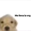 gordoamadohernnde
