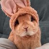 bunnyyyyyyy25