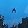 wil_copito