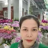 user62801426149944