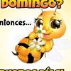 mariafallas52