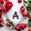 albertina.pavanat2