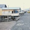 MILLIENAL STORE