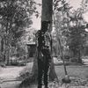 jurgun_montana_loyalty_