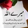 shabbiralimuhamma