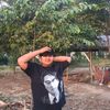 vehasdoeung